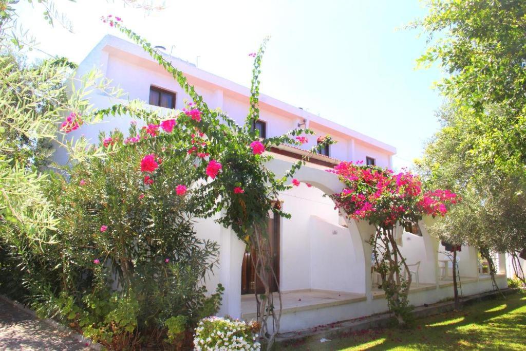 Bare Hill Holiday Apartments Krini Zewnętrze zdjęcie