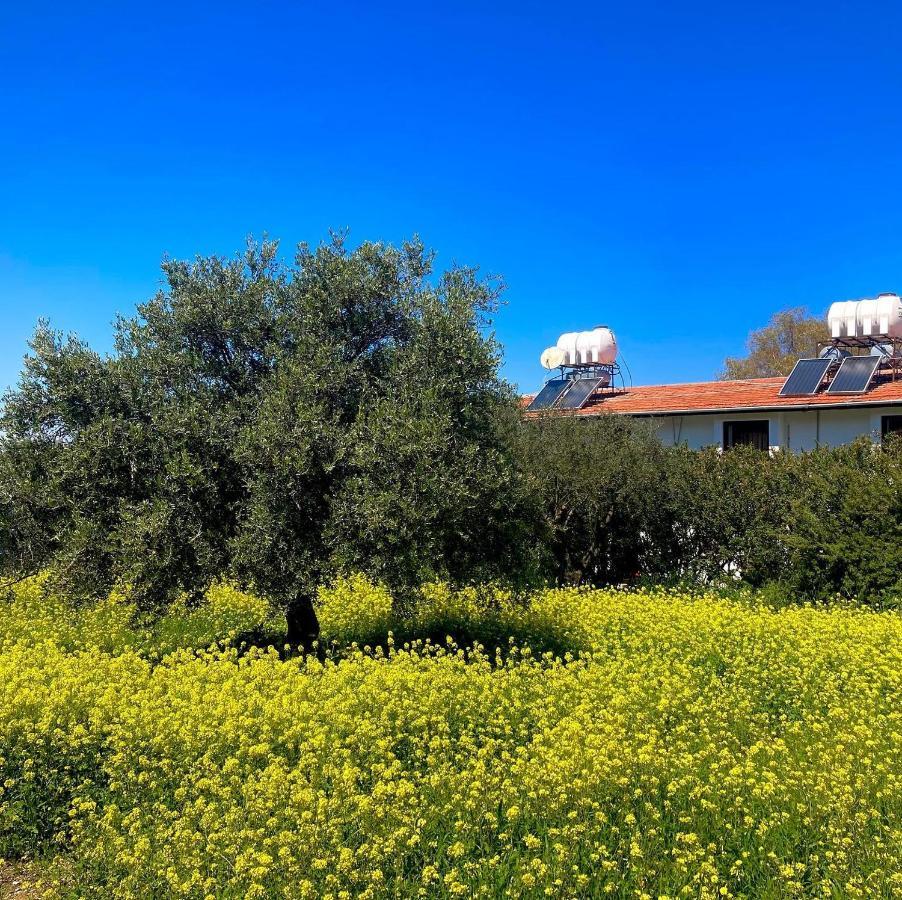 Bare Hill Holiday Apartments Krini Zewnętrze zdjęcie